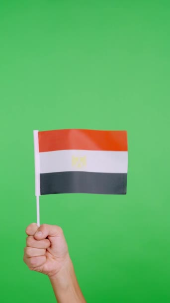 Медленное Видео Студии Хромой Руки Поднимающей Египетский Вымпел Размахивая Ветром — стоковое видео