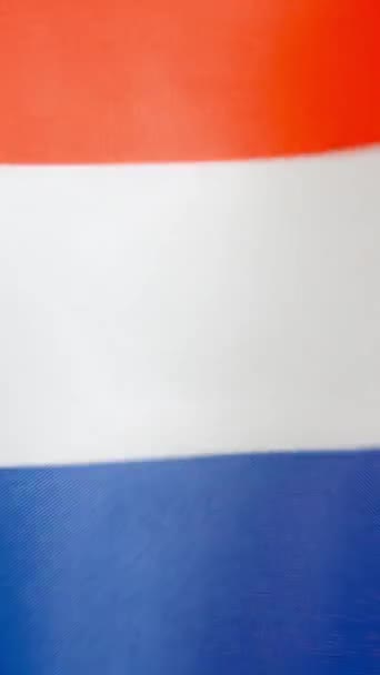 Pionowe Wideo Slow Motion Studiu Holenderskiej Flagi Machającej Wiatrem — Wideo stockowe