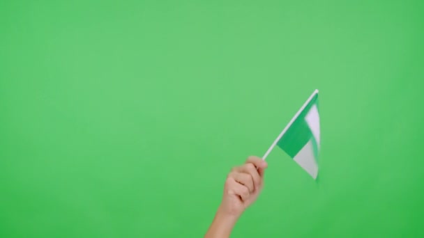 スタジオでのスローモーションビデオ ナイジェリアの国旗のペナントを横から横に振る手のクロマ — ストック動画