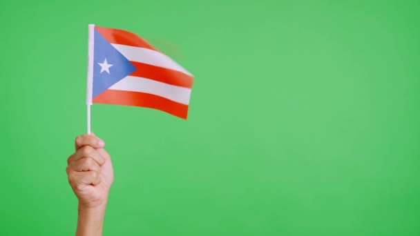 Vento Sventola Pennant Portoricano Tenuto Mano Video Rallentatore — Video Stock