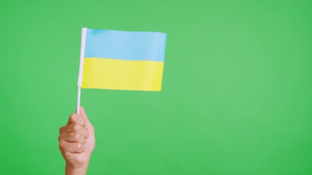 风挥动着一只手握住的乌克兰人的旗帜 — 图库视频影像