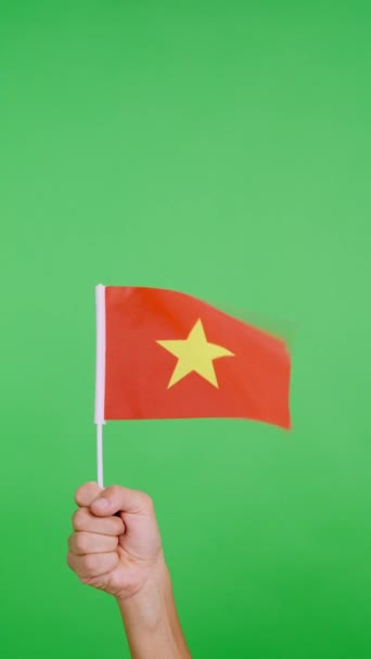 Slow Motion Video Studio Chroma Hand Lifting Vietnamese Pennant While — Stock Video