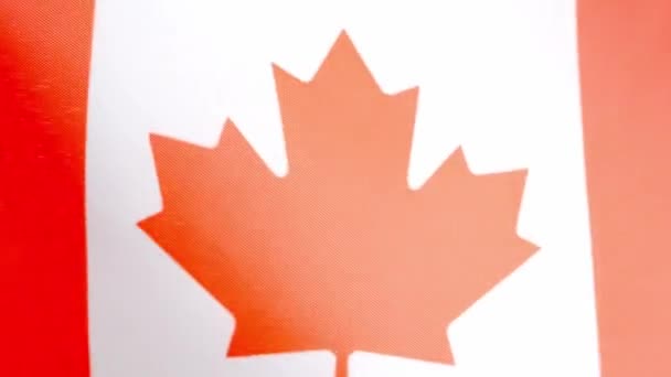 Vídeo Cámara Lenta Estudio Una Bandera Nacional Canadiense Ondeando Por — Vídeos de Stock