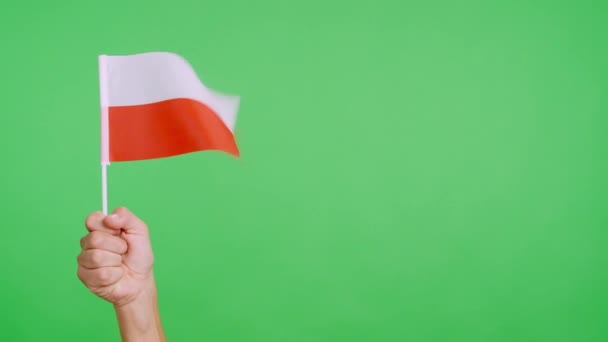 手で握るポーランドのペナントを振る風 スローモーションビデオ — ストック動画