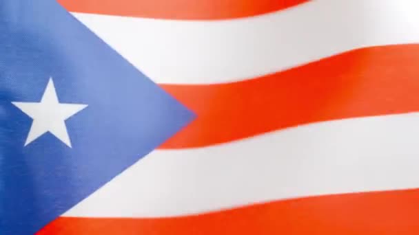 Slow Motion Video Studio Puerto Rican National Flag Waving Wind — Stock Video