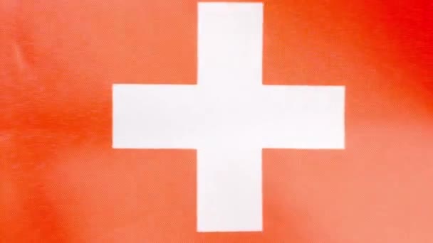 Video Rallentatore Studio Una Bandiera Nazionale Svizzera Sventolata Dal Vento — Video Stock