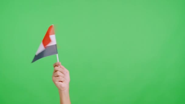 スタジオでのスローモーションビデオ エジプトの国旗のペナントを横から横に振る手のクロマ — ストック動画
