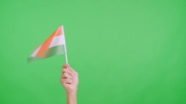 Lambat Gerak Video Studio Dengan Kroma Tangan Melambaikan Panji Bendera — Stok Video