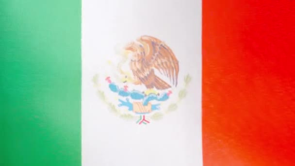 Slow Motion Video Studio Mexican National Flag Waving Wind — Stock Video