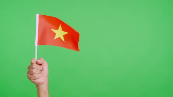 Egy Vietnámi Zászlót Lengető Szél Fogja Kezét Slow Motion Videó — Stock videók