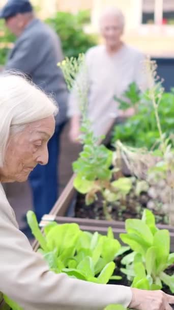 年配の女性のビデオ 花のある老人劇場の庭に出席する — ストック動画