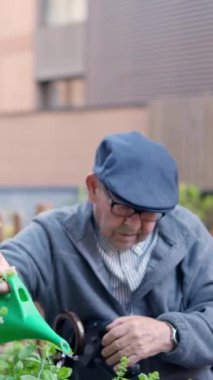 Yaşlı bir adamın yaşlı bir adamın terasta çiçekleri sularken videosu.