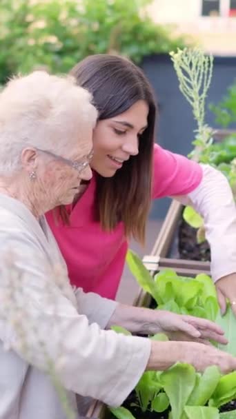 高齢者の庭に植物の土壌を除去する上級女性と介護者のビデオ — ストック動画