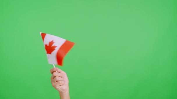 Powolny Film Studiu Chromą Dłoni Machającej Boku Bok Flagą Narodową — Wideo stockowe