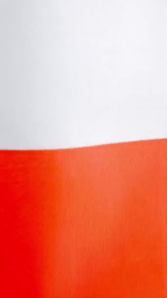 Pionowe Filmiki Spowolnione Studiu Polskiej Flagi Machające Wiatrem — Wideo stockowe