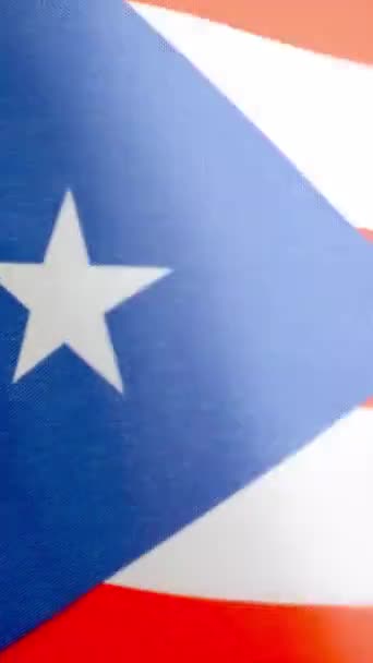 Video Verticale Rallentatore Studio Bandiera Portoricana Sventolata Dal Vento — Video Stock