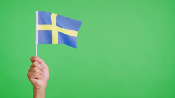 风挥动着挥动着的瑞典国旗 — 图库视频影像