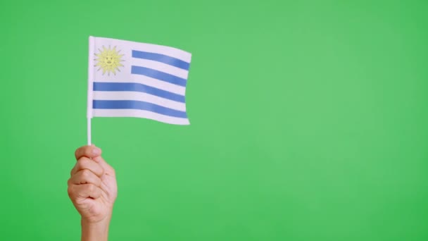 风挥动着乌鲁瓜扬起的旗子 手握着手 慢动作视频 — 图库视频影像