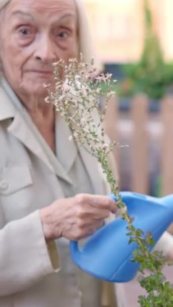 Видео Пожилая Женщина Улыбается Поливая Сад Пожилом Возрасте — стоковое видео