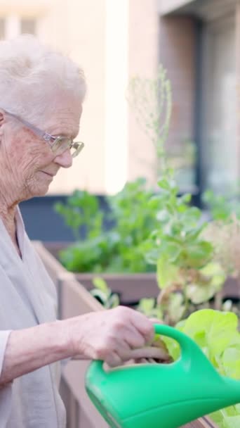 一名老年妇女浇灌植物和一名老年护理员接近她的录像 — 图库视频影像