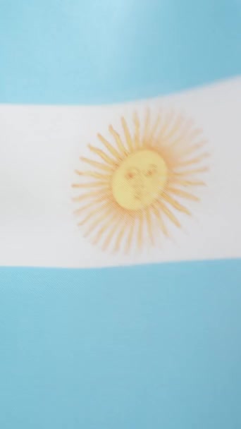 Vertikal Slow Motion Video Studio Argentine Flagga Viftar Med Vinden — Stockvideo