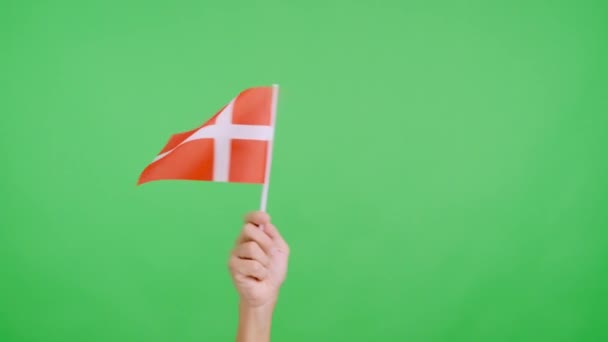 Медленное Видео Студии Хромой Руки Размахивающей Вымпелом Национального Флага Дании — стоковое видео