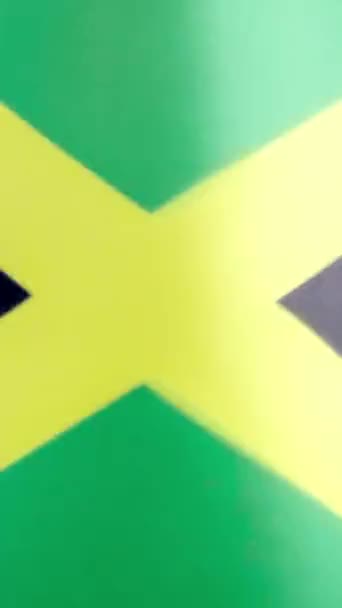 Vídeo Câmera Lenta Vertical Estúdio Bandeira Jamaicana Acenando Pelo Vento — Vídeo de Stock
