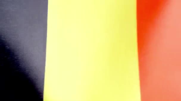 Медленное Видео Студии Бельгийского Национального Флага Машущего Ветром — стоковое видео