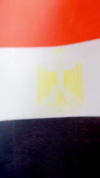 Vídeo Câmera Lenta Vertical Estúdio Bandeira Egípcia Acenando Pelo Vento — Vídeo de Stock