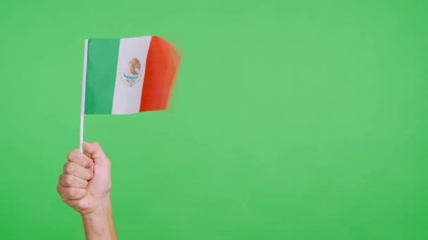 Viento Ondeando Banderín Mexicano Sostenido Por Una Mano — Vídeos de Stock