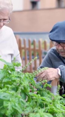 Yaşlı bir çiftin yaşlılarla dolu bir bahçeye baktığı video.