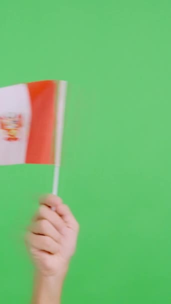 크로마와 스튜디오에서 비디오 측면에서 페루의 국기의 페넌트를 흔들어 — 비디오