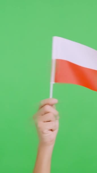 Zpomalené Video Studiu Chromou Ruky Mávající Praporem Státní Vlajky Polska — Stock video