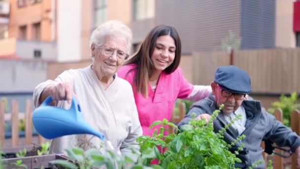 护士和老年人在疗养院室外浇灌植物的录像 — 图库视频影像