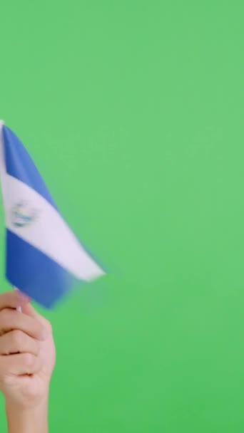 Powolny Film Studiu Chromą Dłoni Machającej Boku Bok Flagą Narodową — Wideo stockowe