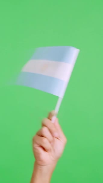 아르헨티나 국기의 페넌트를 흔들리는 크로마와 스튜디오에서 슬로우 비디오 측면에서 — 비디오