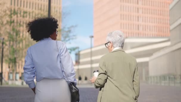 Video Der Rückansicht Einer Multiethnischen Geschäftsfrau Finanzviertel — Stockvideo