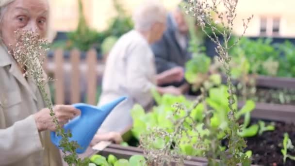 一个老妇人在给一个老人浇灌花园时微笑的视频 — 图库视频影像