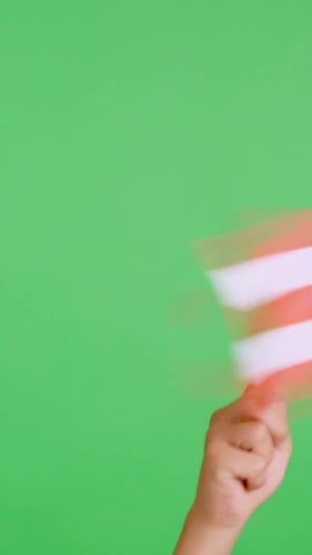 スタジオでのスローモーションビデオ プエルトリコの国旗のペナントを横から横に振る手のクロマ — ストック動画