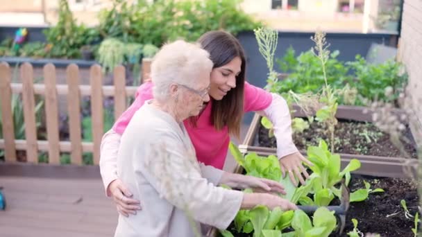 Video Äldre Kvinna Och Vårdgivare Bort Jorden Växter Med Plog — Stockvideo