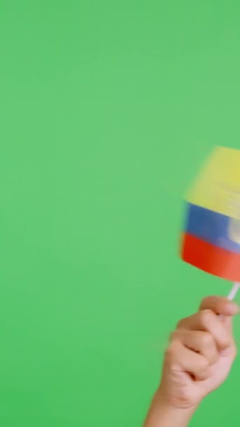 Медленное Видео Студии Хромой Руки Размахивающей Вымпелом Национального Флага Эквадора — стоковое видео