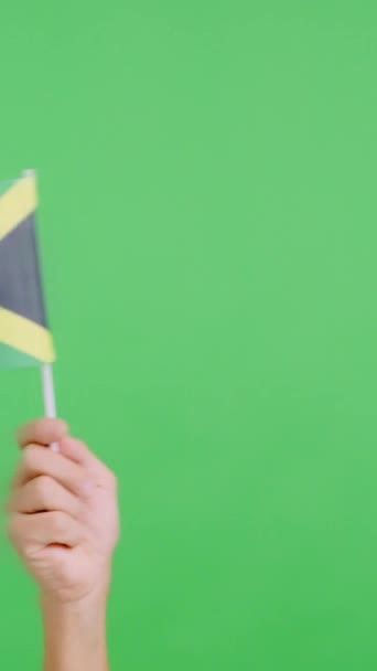Lassú Mozgású Videó Stúdióban Kézkrómmal Amint Jamaica Nemzeti Zászlajának Zászlaját — Stock videók