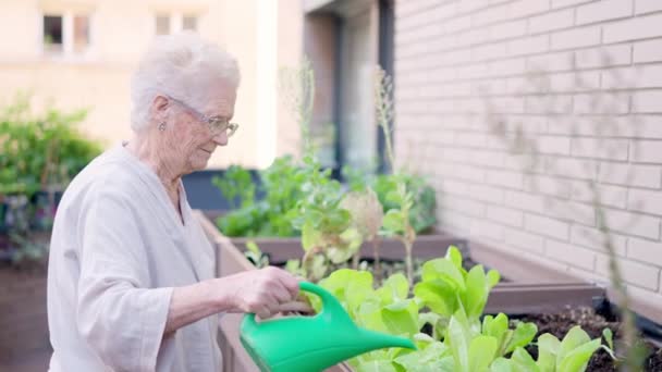一名老年妇女浇灌植物和一名老人护理者走近她的录像 — 图库视频影像