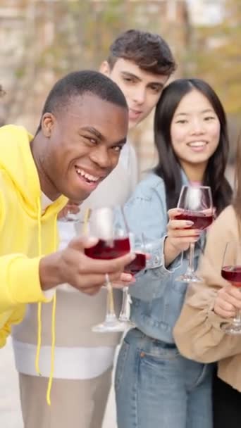 Zeitlupenvideo Einer Gruppe Multiethnischer Freunde Die Mit Wein Freien Die — Stockvideo