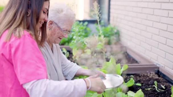 看護師と看護婦が看護施設の都市庭に種を植えている様子 — ストック動画