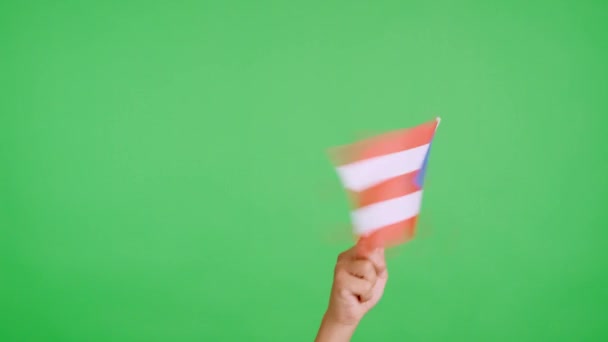 Zpomalené Video Studiu Chromou Ruky Mávající Praporem Státní Vlajky Portorika — Stock video