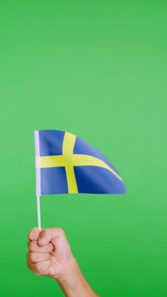 Zpomalit Video Studiu Chromou Ruky Zvedání Švédské Vlajky Při Vlnění — Stock video
