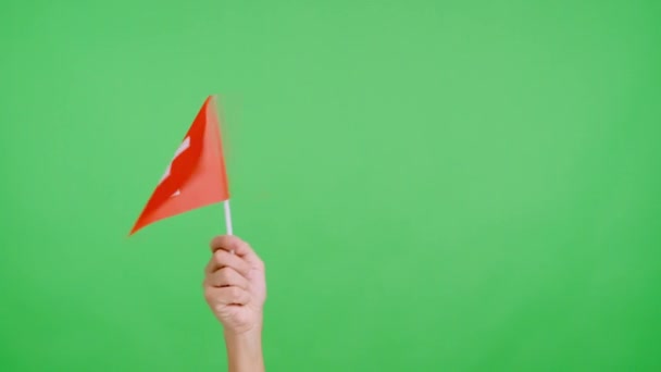 スイスの国旗のペナントを横から横に振る手のクロマでスタジオでスローモーションビデオ — ストック動画