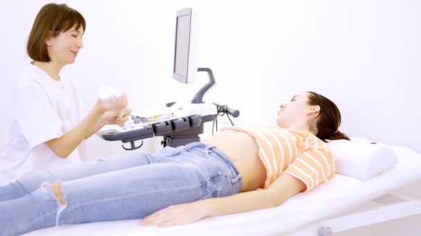 妊娠中の女性に超音波を実行する準備ができている女性医師のスローモーションビデオ — ストック動画
