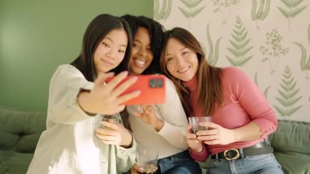 Çok Irklı Bir Grup Arkadaşın Evdeki Kanepede Oturup Selfie Çekerken — Stok video